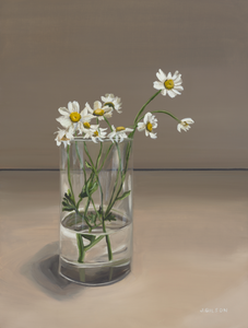 "Chamomile" 9"x12" oil on panel