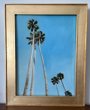 Load image into Gallery viewer, &quot;Sun Drenched Palms&quot; 18&quot; x 24&quot; oil
