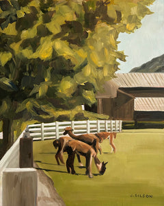 "Alpaca Pack at Snuck Farm" 8" x 10" oil