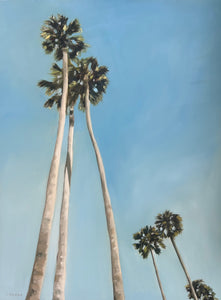 "Sun Drenched Palms" 18" x 24" oil