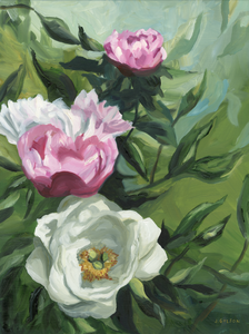 "Summer Peonies" 11" x 14" oil on panel